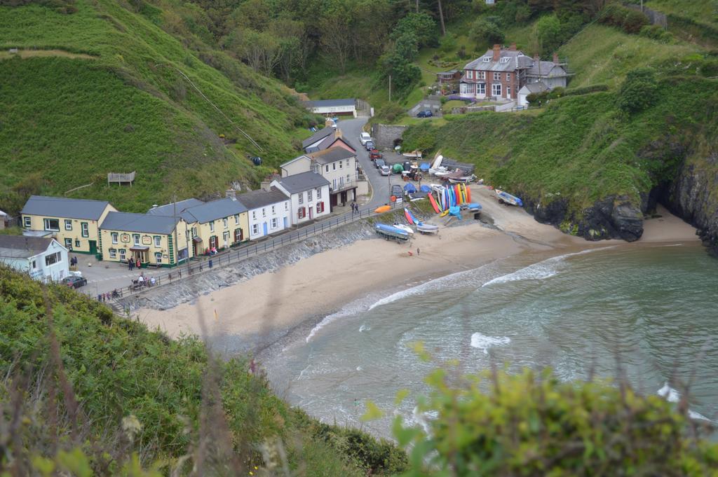 Troedyrhiw Bed & Breakfast Cardigan Eksteriør billede