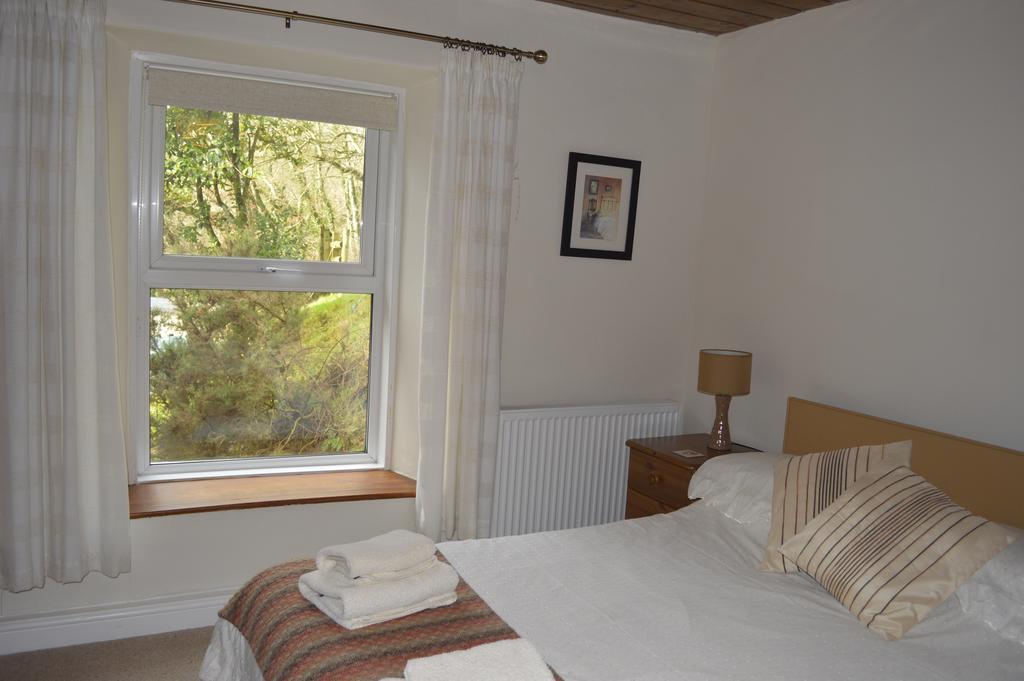 Troedyrhiw Bed & Breakfast Cardigan Værelse billede